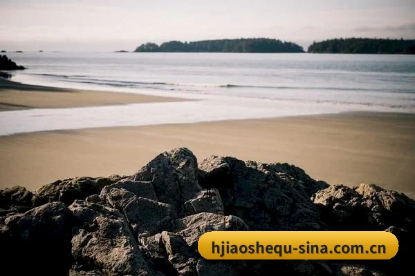 厂牌正式挂牌